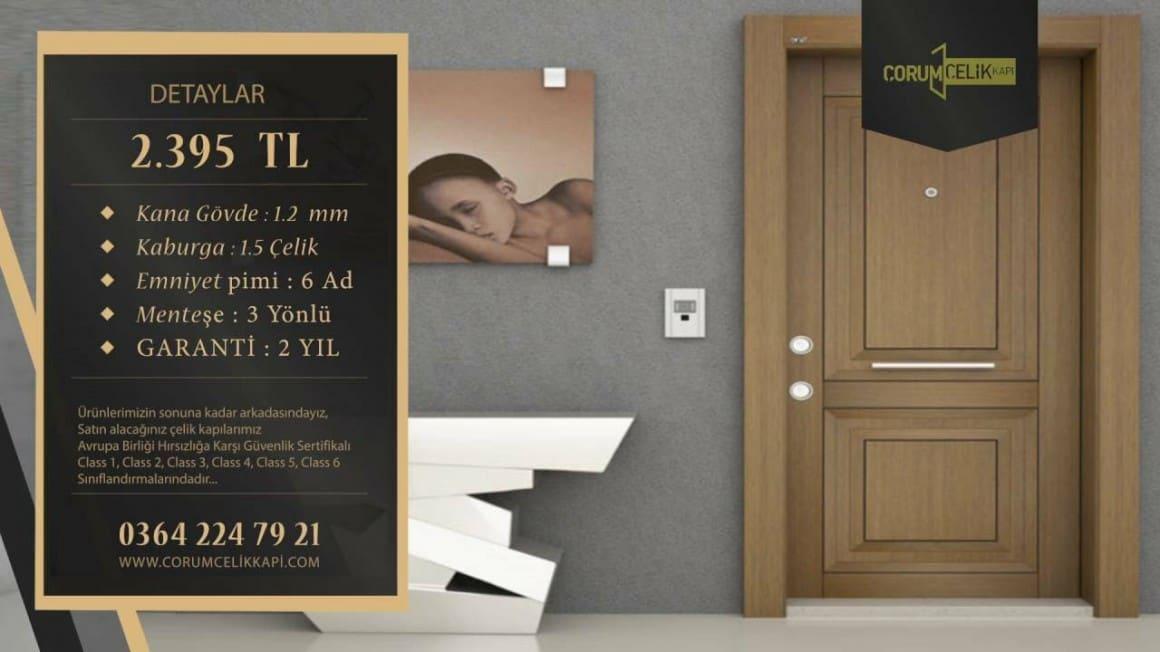 Çelik ve Panel Kapı — uygulama görseli 12